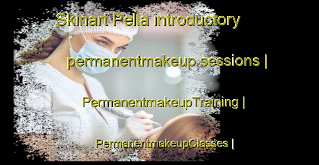 Skinart Pella introductory permanentmakeup sessions | PermanentmakeupTraining | PermanentmakeupClasses | SkinartTraining-Russian Federation
